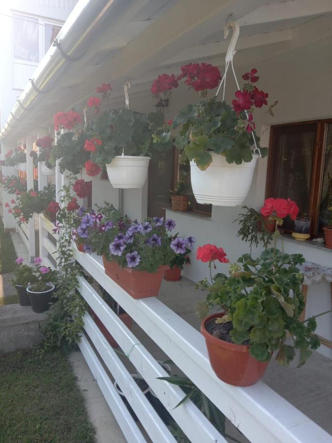 Cazare Turism Prislop Hotel Hateg Luaran gambar